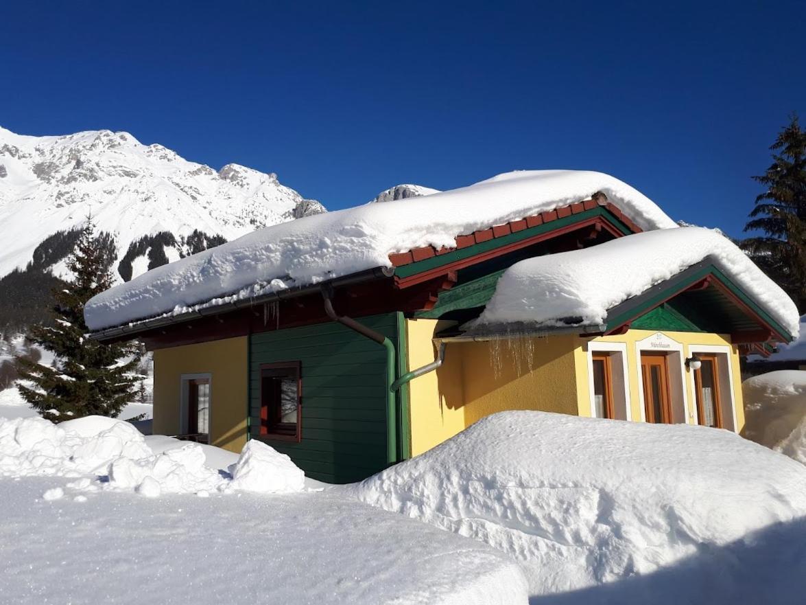 Ramsauer Sonnenalm Villa Ramsau am Dachstein Ngoại thất bức ảnh