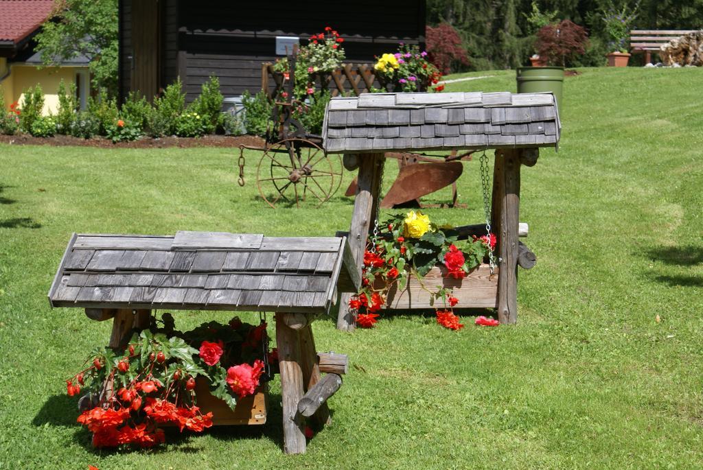 Ramsauer Sonnenalm Villa Ramsau am Dachstein Ngoại thất bức ảnh